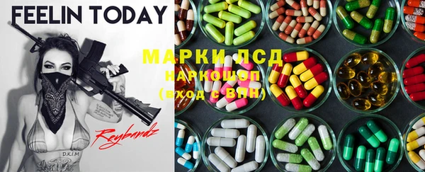 прущие грибы Алексеевка