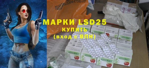 прущие грибы Алексеевка
