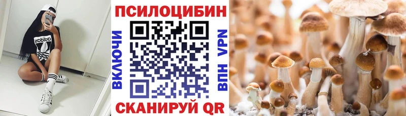 Галлюциногенные грибы MAGIC MUSHROOMS kraken маркетплейс Цоци-Юрт