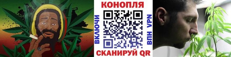 Каннабис SATIVA & INDICA  Цоци-Юрт 